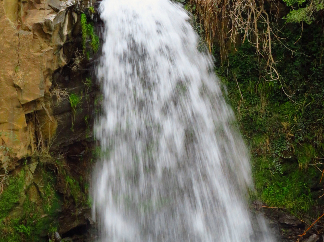 Cascata del Pellico-Canino必去景点