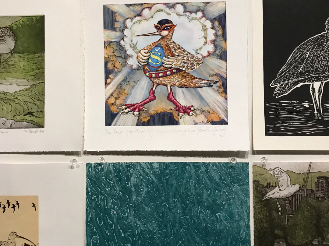 Burnie Regional Art Gallery-伯尼必去景点