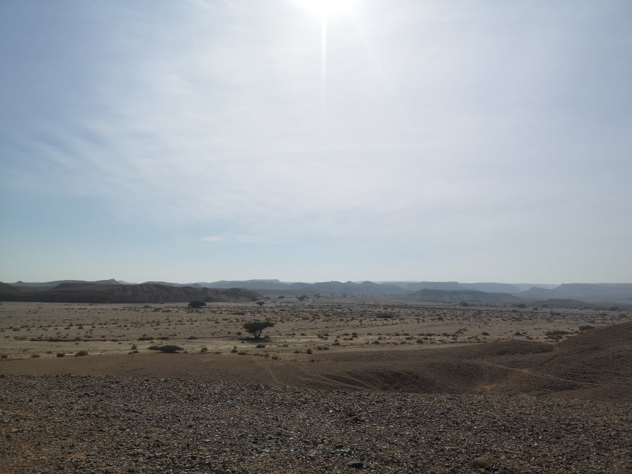 Desert Ride-Ein Yahav必去景点