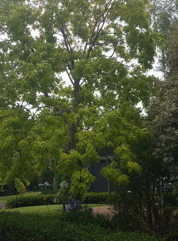 The Musicians Retreat B&B主图