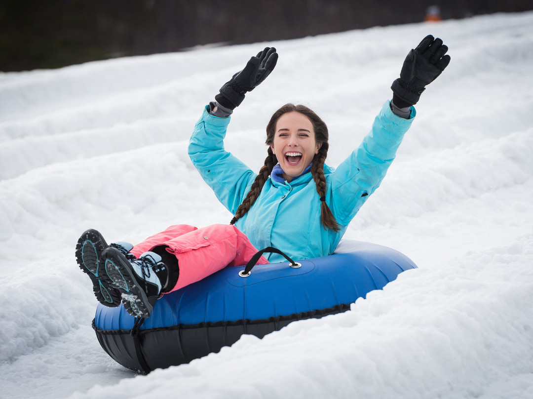 Camelback Snow Tubing Park景点图片