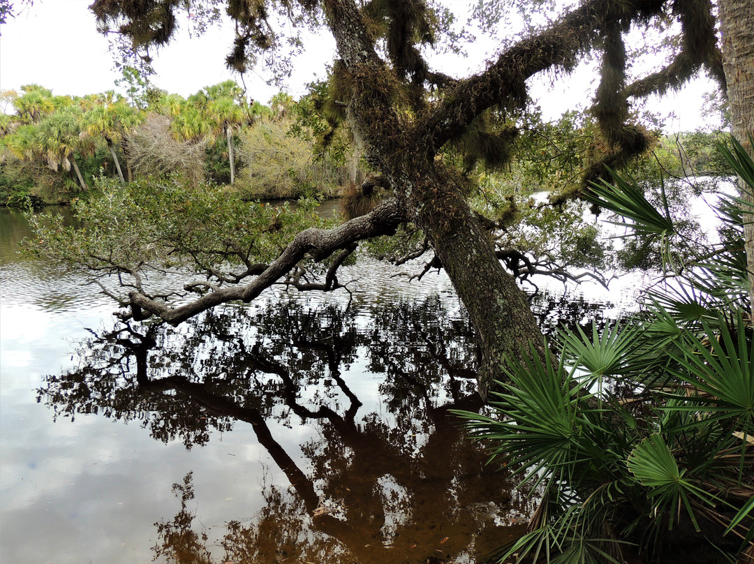 Jelks Preserve-威尼斯必去景点
