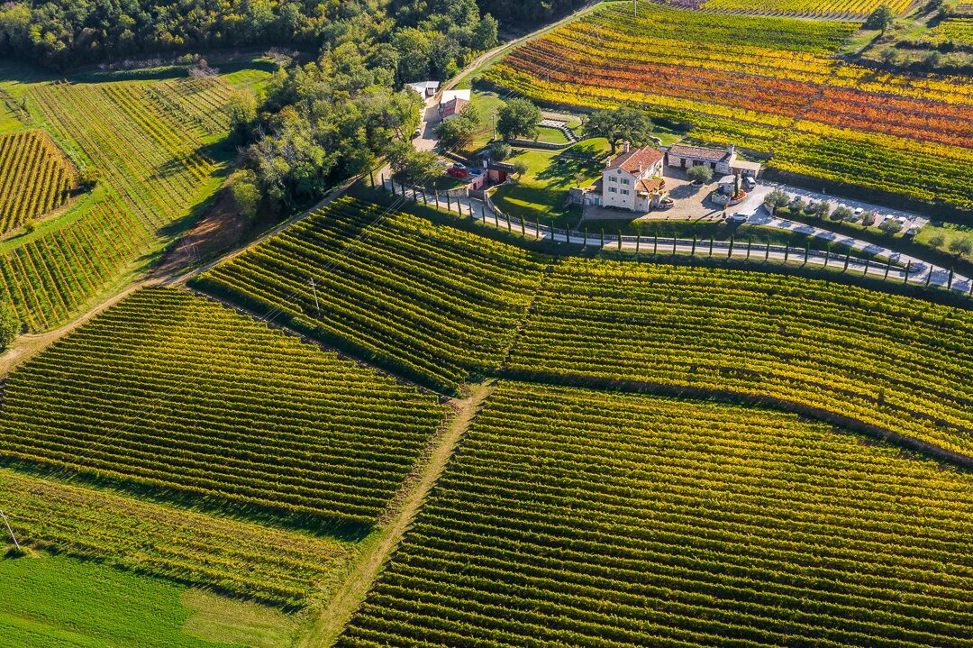Kabola Winery-Momjan必去景点