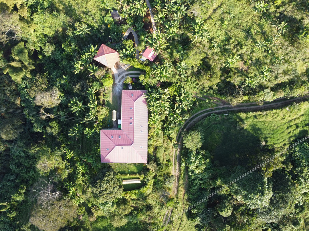 La Union Coffee Farm - Coffee & Fruits Tours景点图片