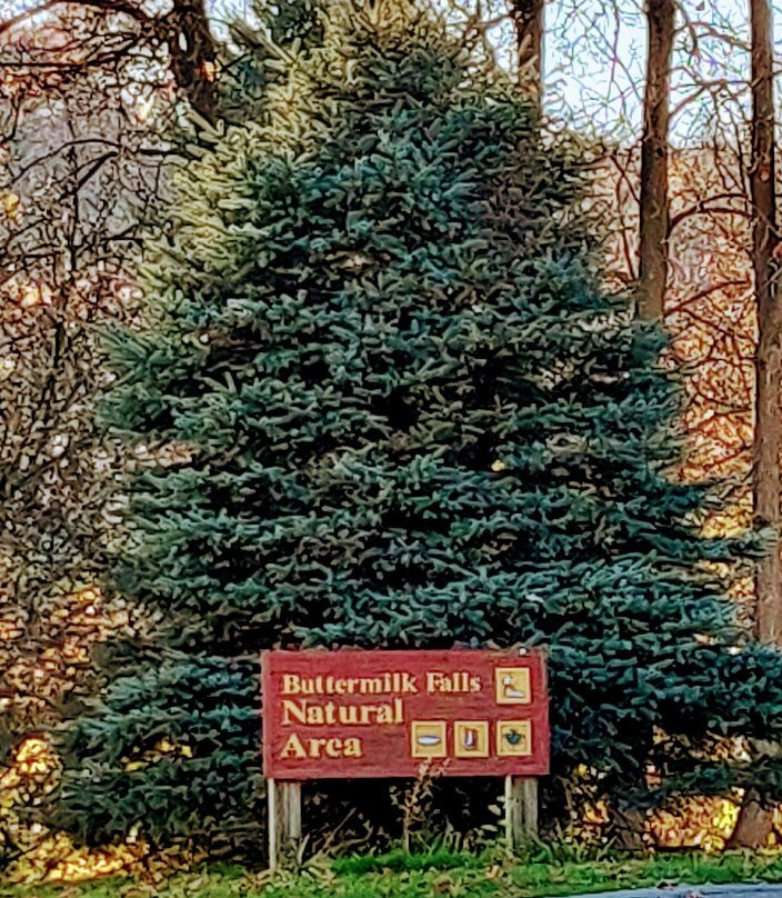 Buttermilk Falls Natural Area景点图片