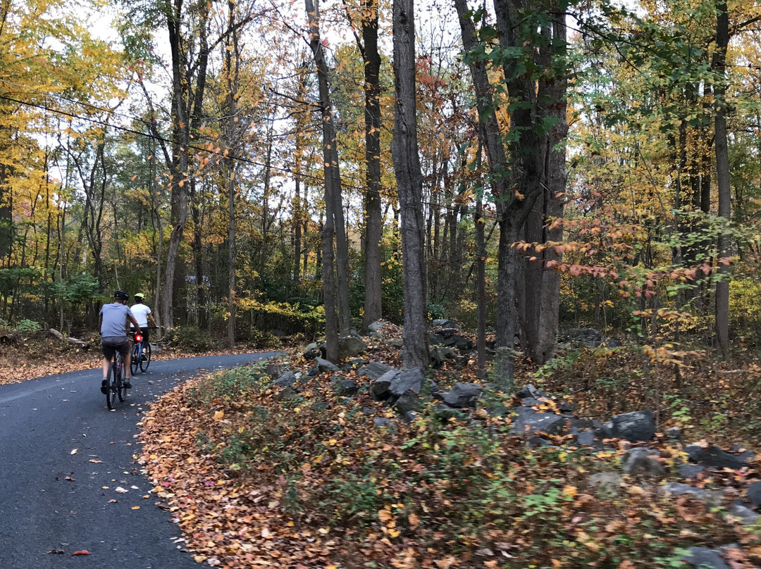 NJ Bike Tours​-Pennington必去景点
