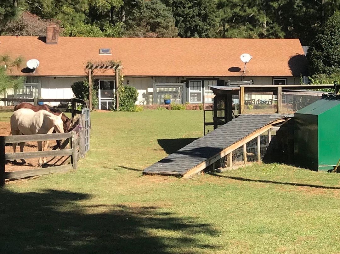 Tanglewood Farm Bed & Breakfast主图