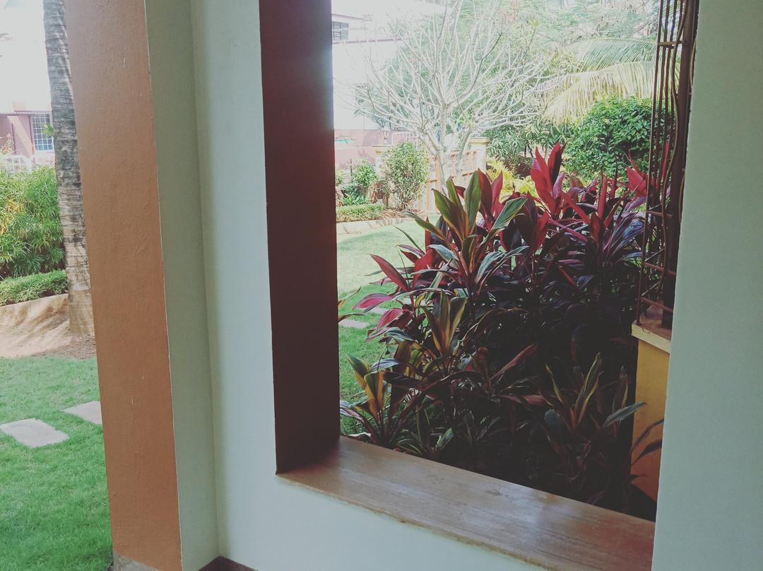 The Mango Villa主图