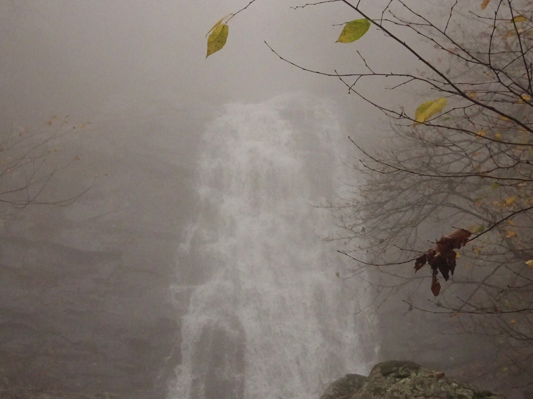 White Oak Canyon Trail-Syria必去景点