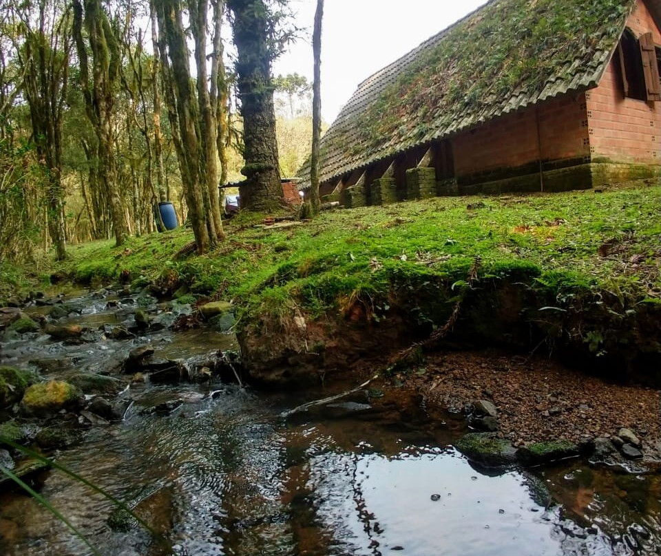 Araucárias Park-Arvorezinha必去景点