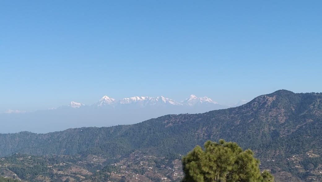 Lord Krishna Himalayan Hotel & Restaurant主图