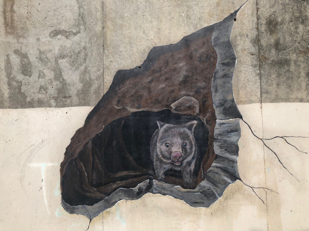 Wombat Mural-瓦南布尔必去景点