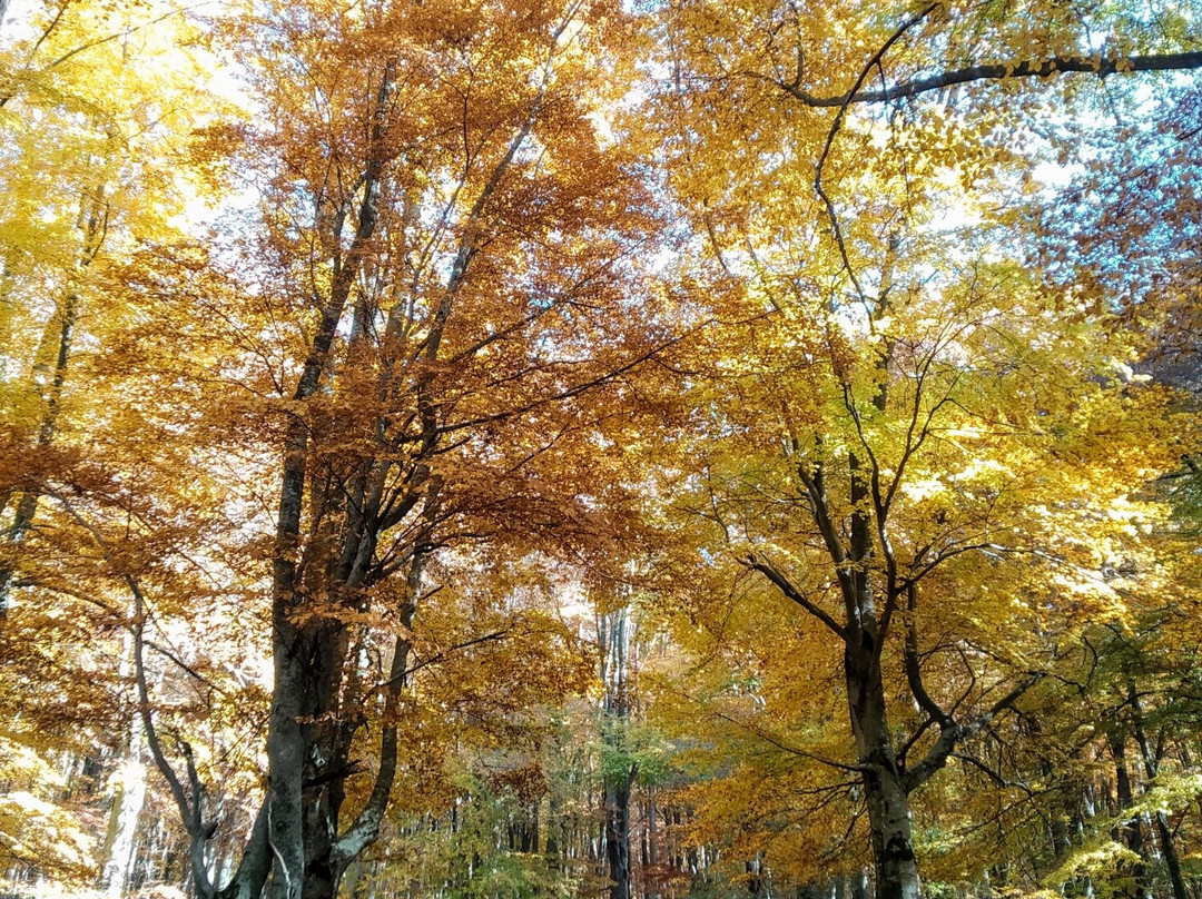 Area Pic Nic Prato di Campoli-Veroli必去景点