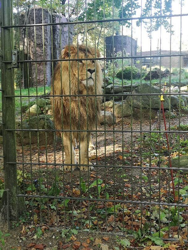 Tierpark Ueckermünde景点图片