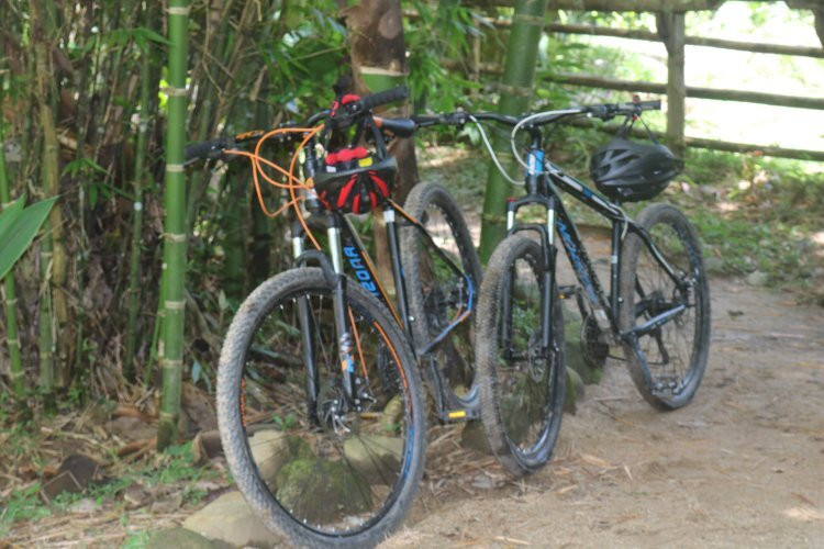 Bicycle Adventure San Rafael景点图片