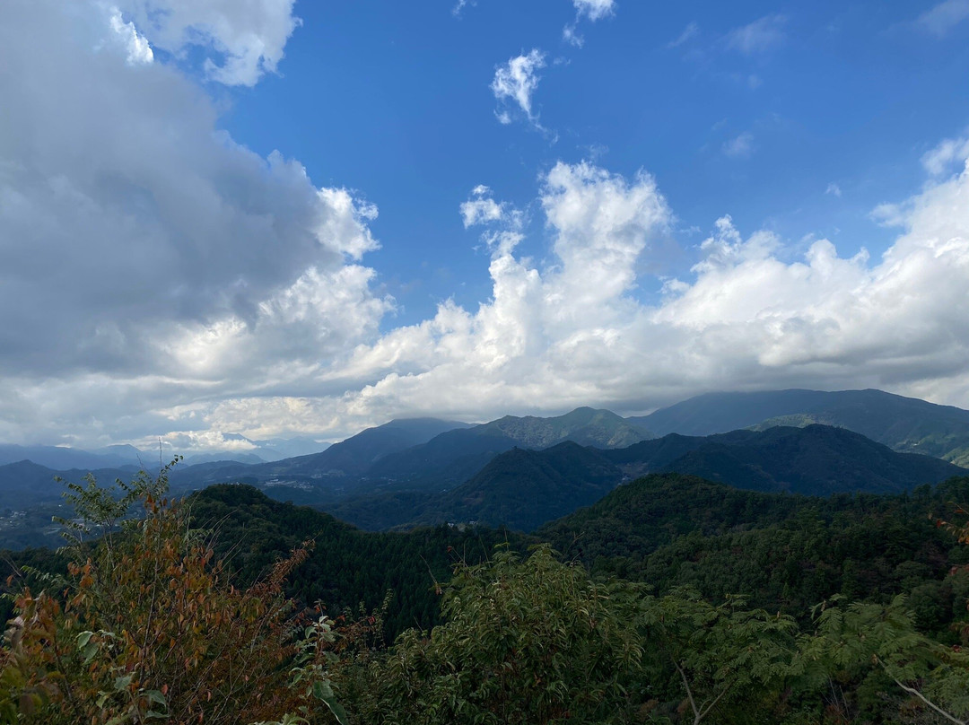 Yaeyama Gokan no Mori景点图片