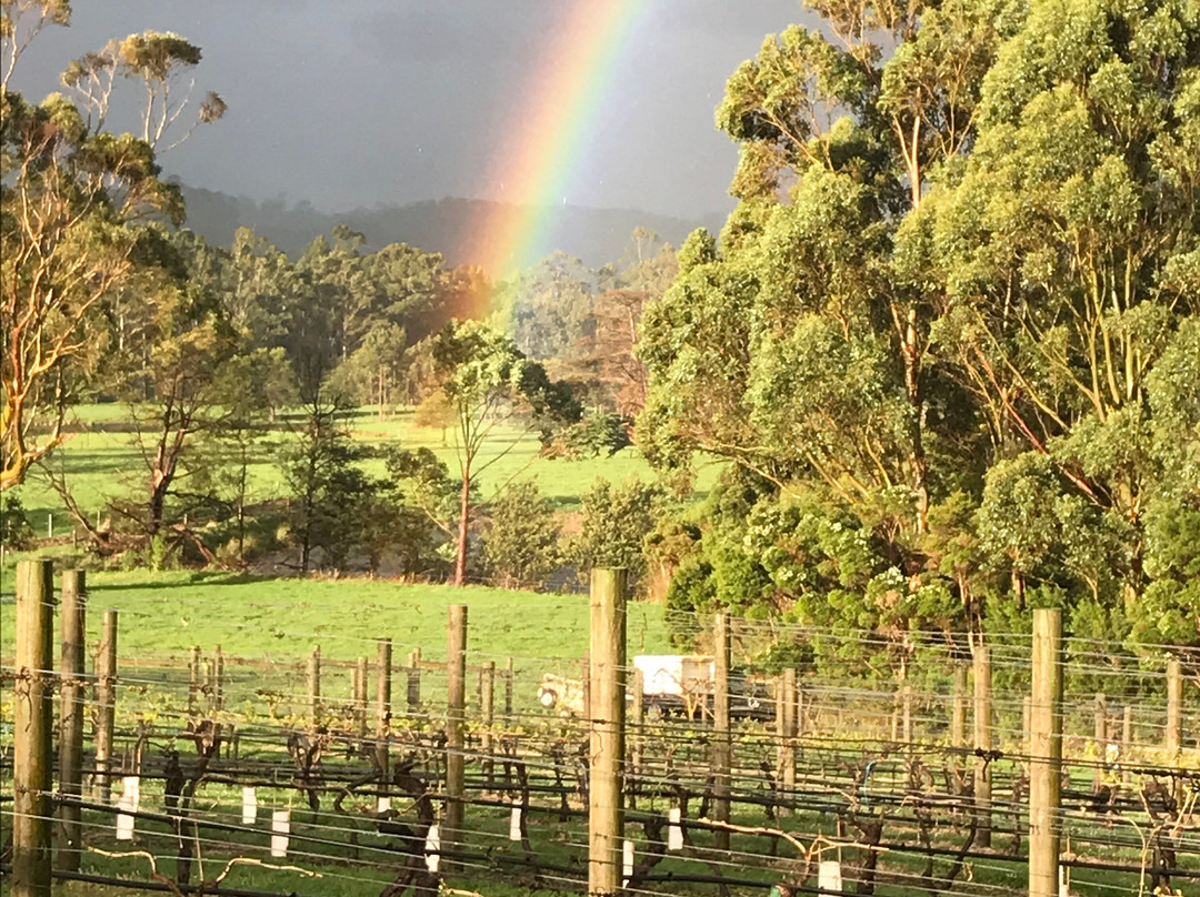 Gippsland Wine Company-Loch必去景点