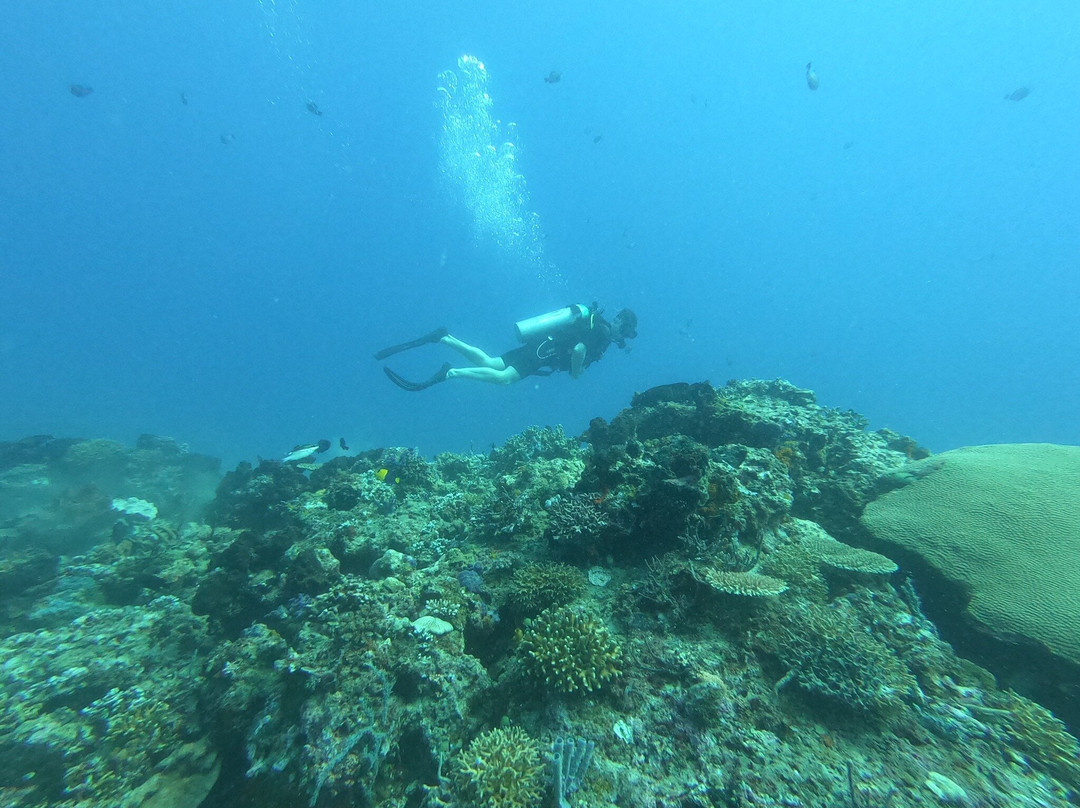 DPM Diving Gili Air景点图片