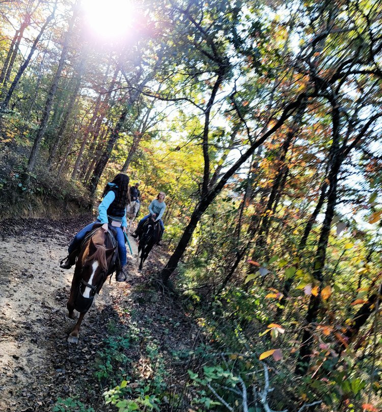Next to Heaven Adventure-汤森必去景点
