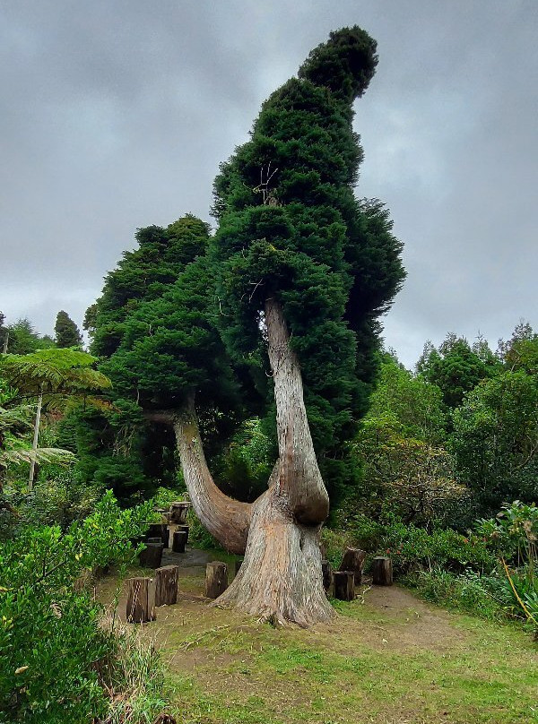 Levada do Furado-Santana必去景点