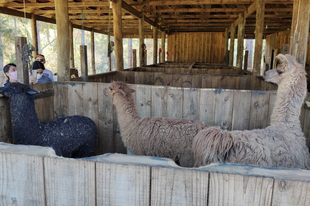 Piazito Park Hotel主图