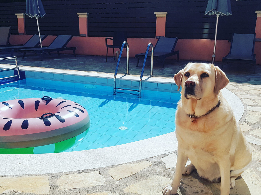 AFV Hotels & Apartments主图