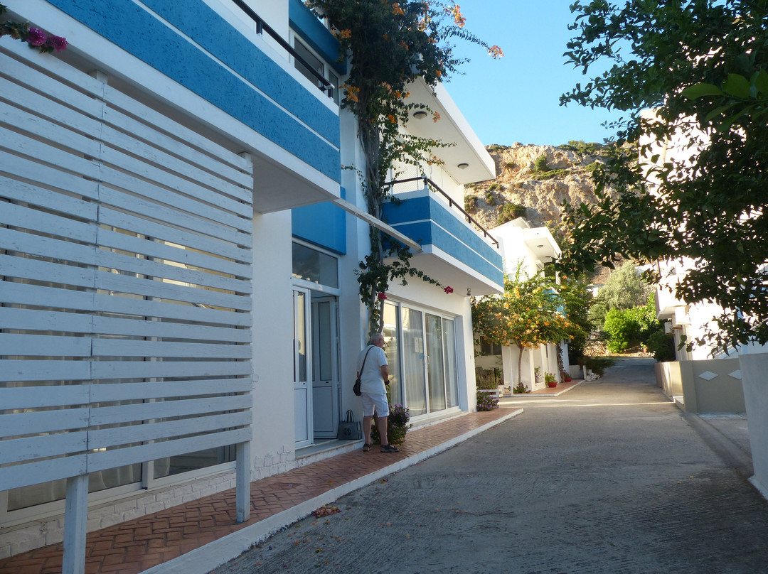 Blugreen Stegna主图