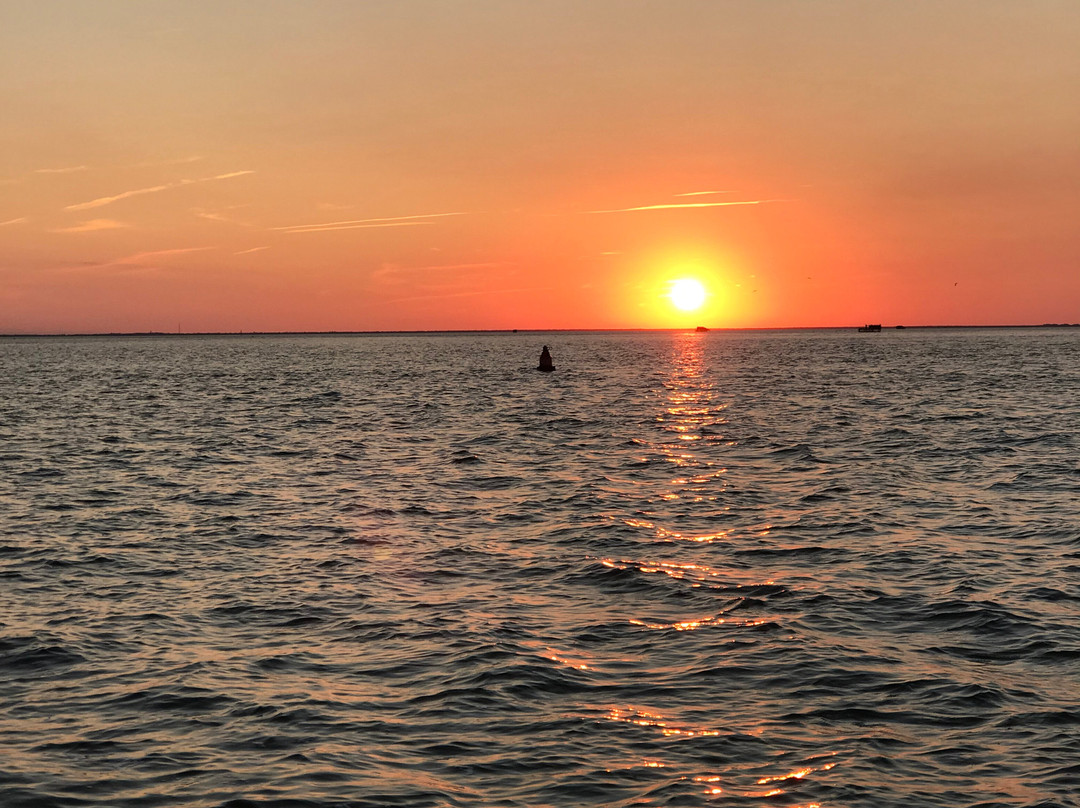 Safari Dolphin Tours-纳格斯海德必去景点