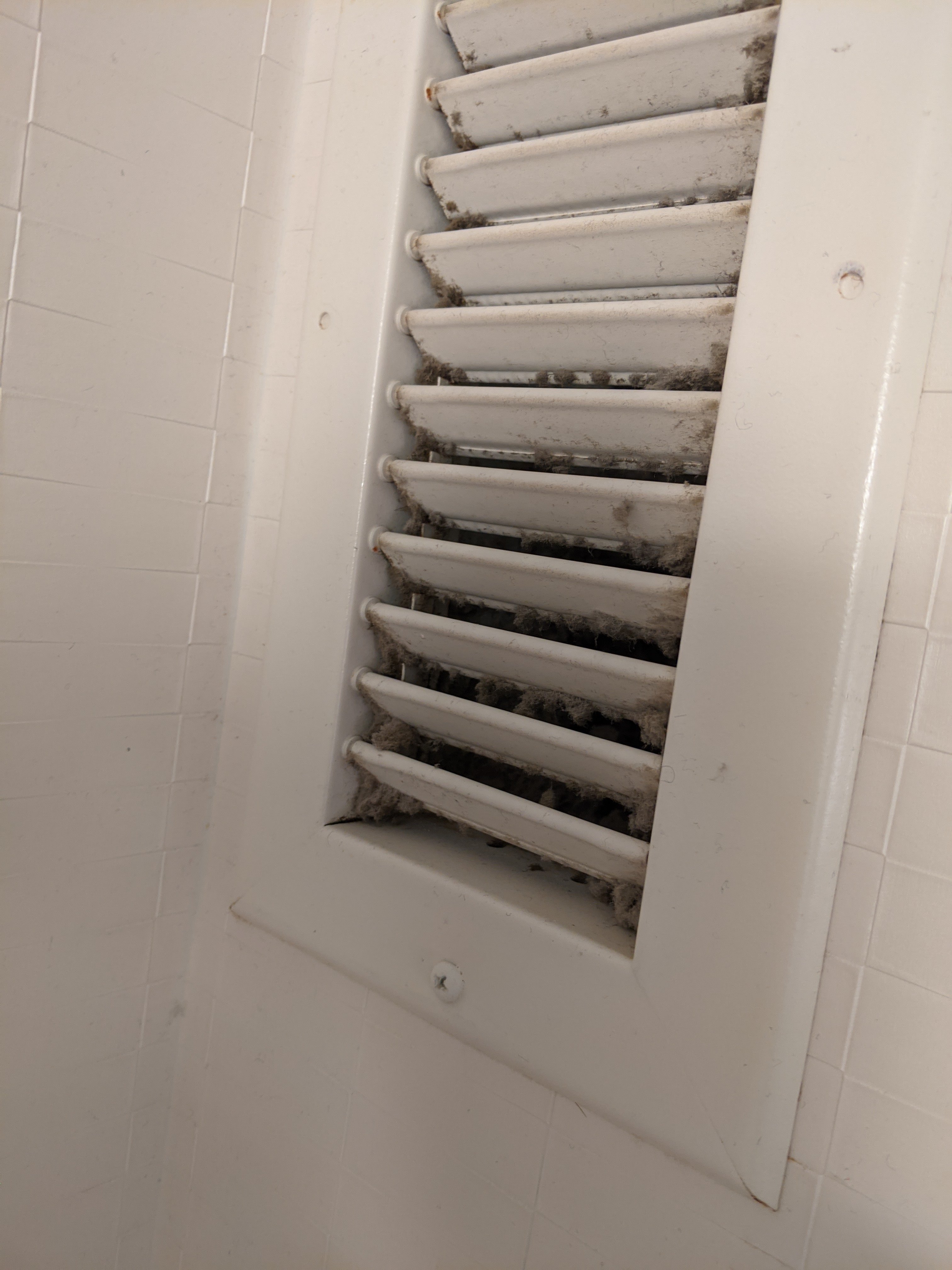 Hampton Inn Harrisonburg - University-浴室