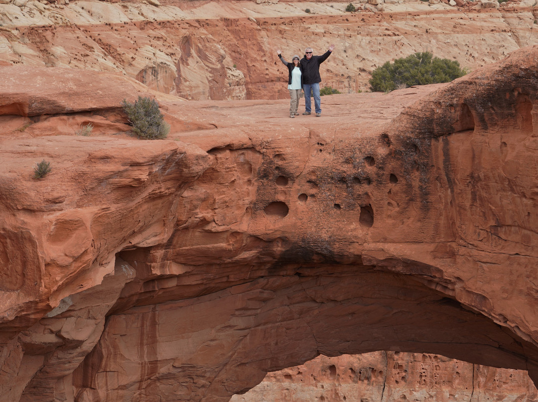 Torrey Schoolhouse Bed & Breakfast Inn主图