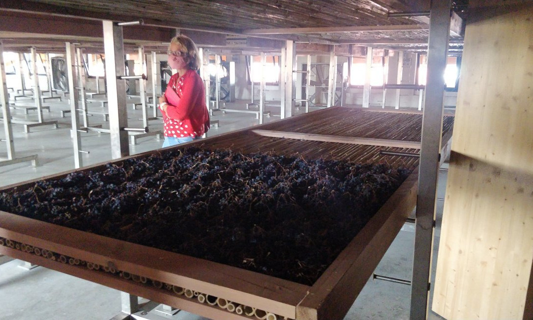 Valpolicella Tours景点图片