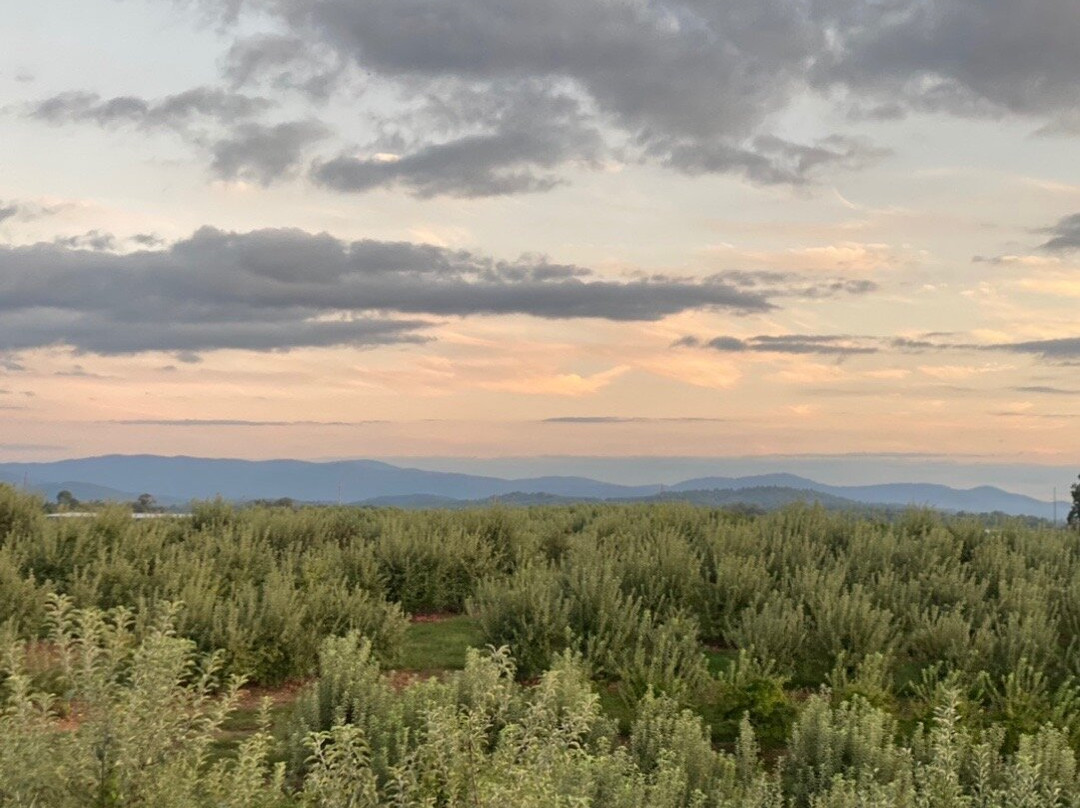 R & A Orchards-Ellijay必去景点