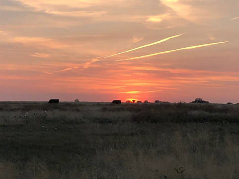 Bent's Old Fort National Historic Site-La Junta必去景点