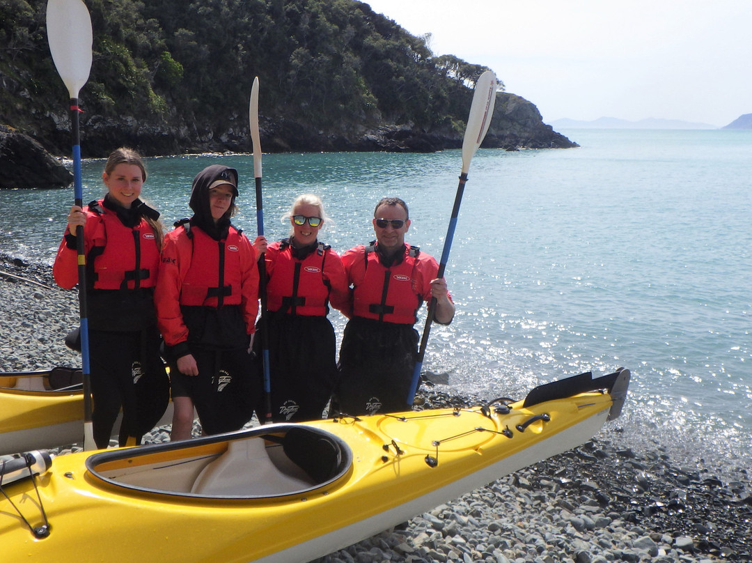Cable Bay Kayaks-尼尔森必去景点