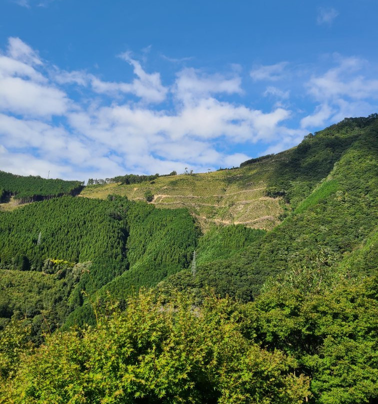 The Peeing Boy Of Iya Gorge-三好市必去景点