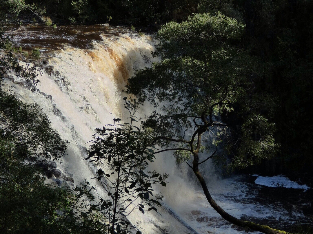 Dip River Forest Reserve景点图片