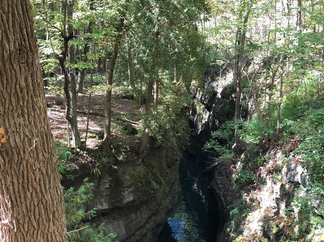 Clifton Gorge State Nature Preserve-Yellow Springs必去景点