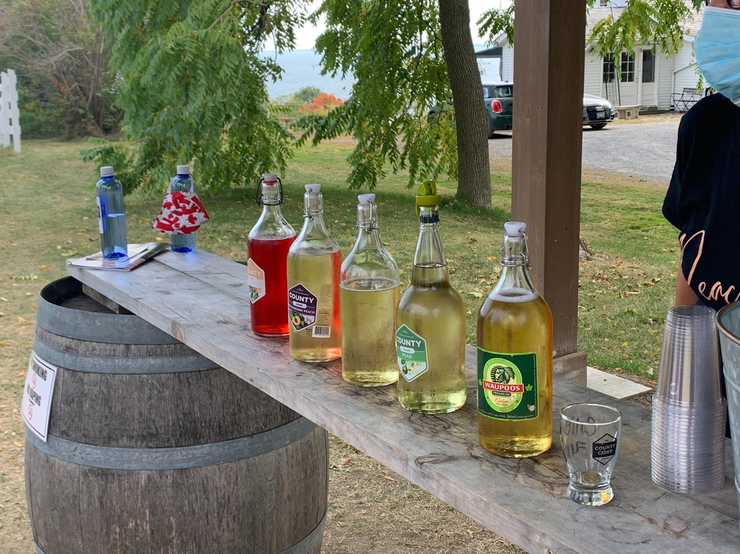 The County Cider Company Tasting Room景点图片