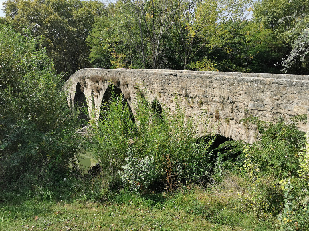 Puente de la Magdalena-潘普洛纳必去景点