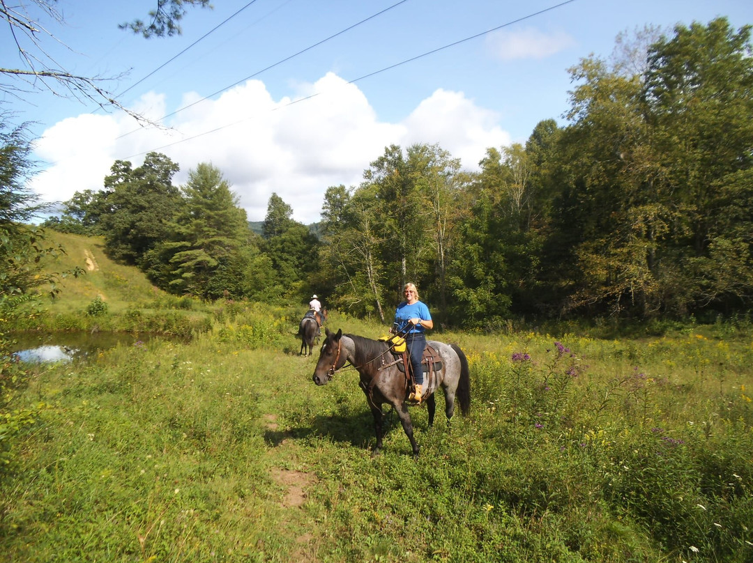 Roan Mountain Riding Company景点图片