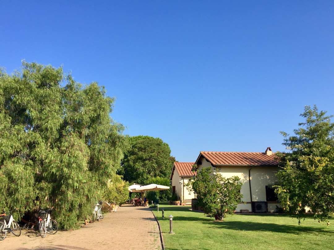 Podere Turicchio主图