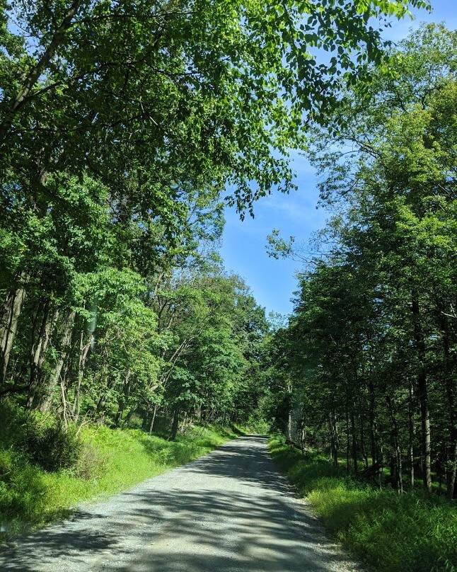 Cacapon Resort State Park主图