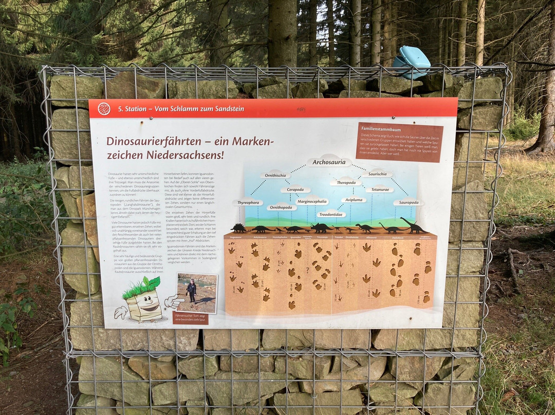 Dinosaur tracks-Obernkirchen必去景点