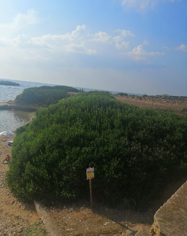 Spiaggia dell'Arco-S'Archittu必去景点