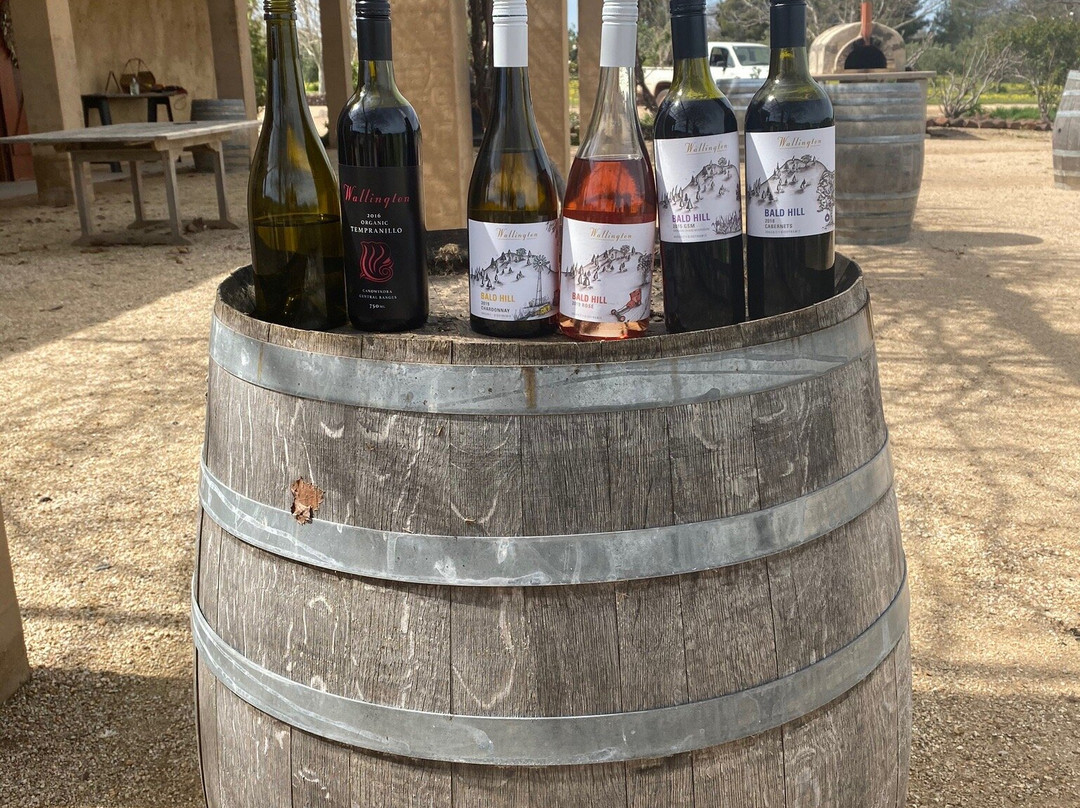 Wallington-Canowindra必去景点