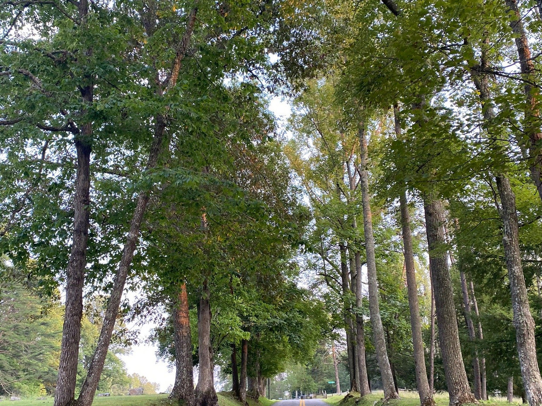 Carnifex Ferry Cabins主图