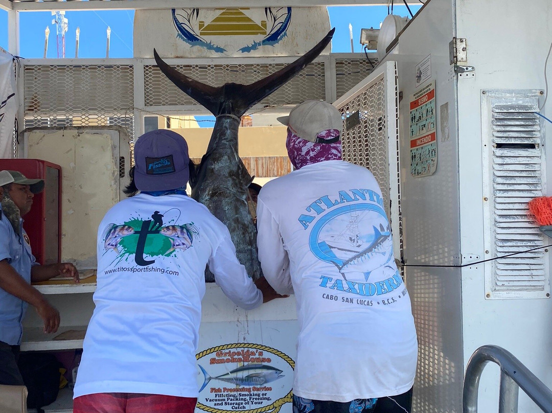 Titos Sportfishing-卡波圣卢卡斯必去景点