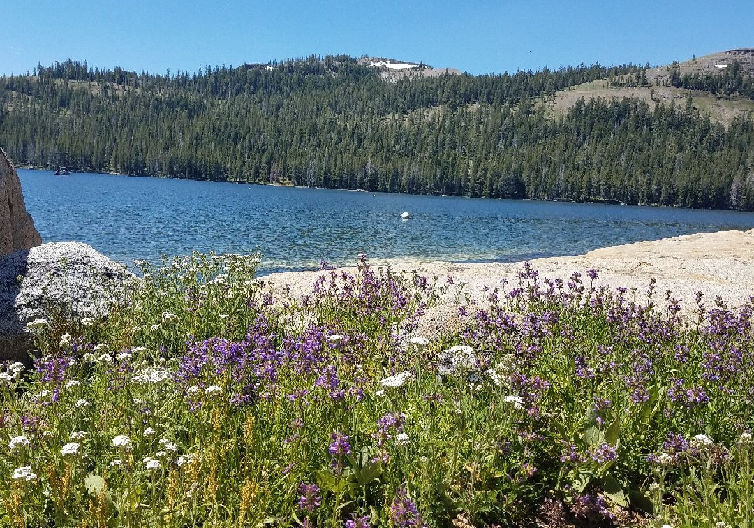 Caples Lake Resort主图