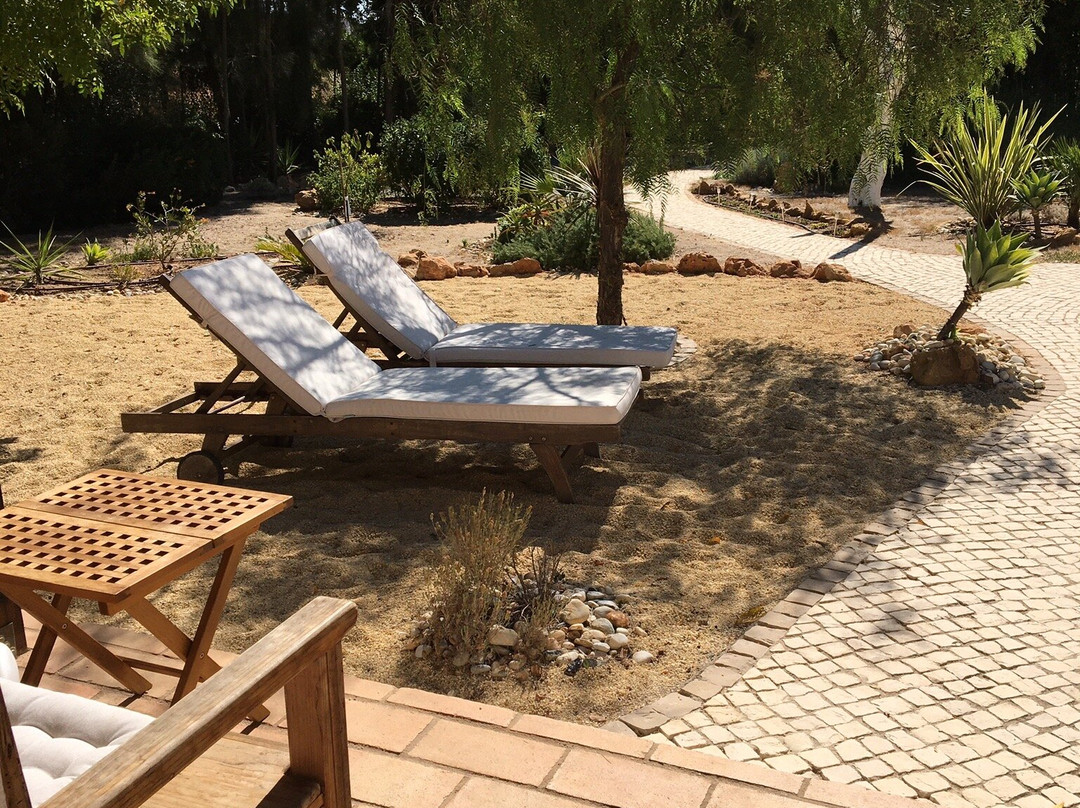 charlotte be my Guest主图