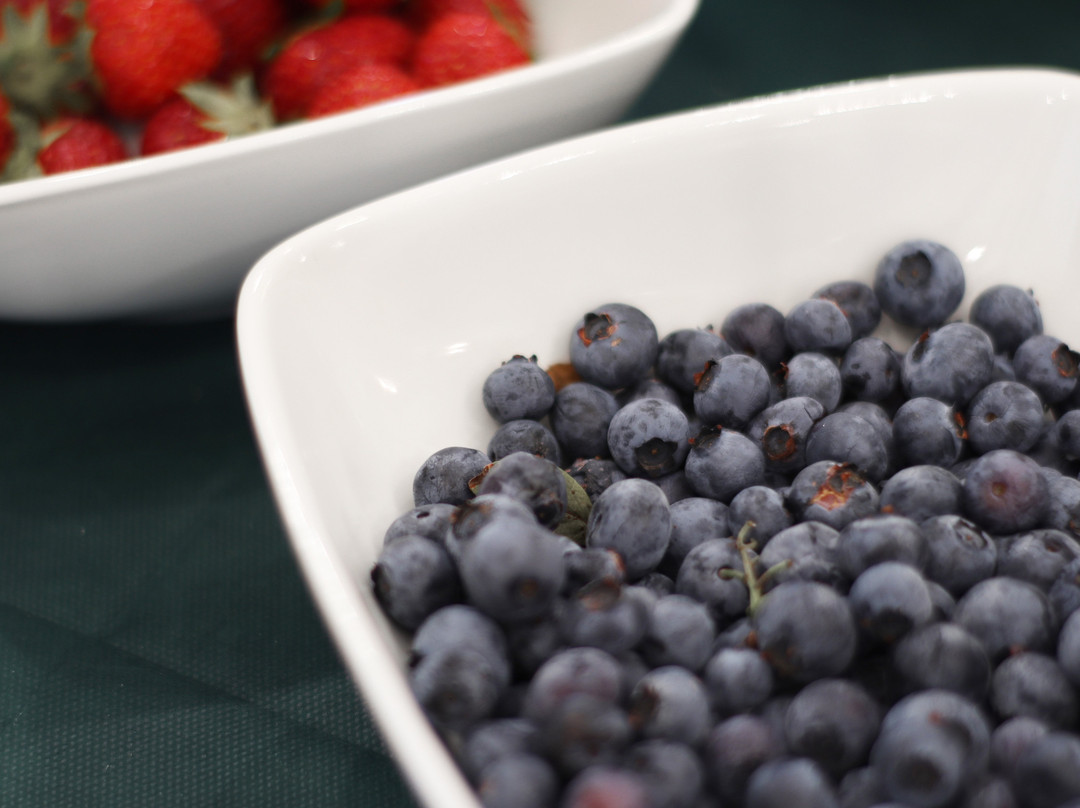 Bed and Breakfast Montecampione主图